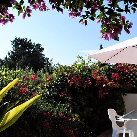 Townhouse In Paradise Gardens Paphos Eksteriør bilde