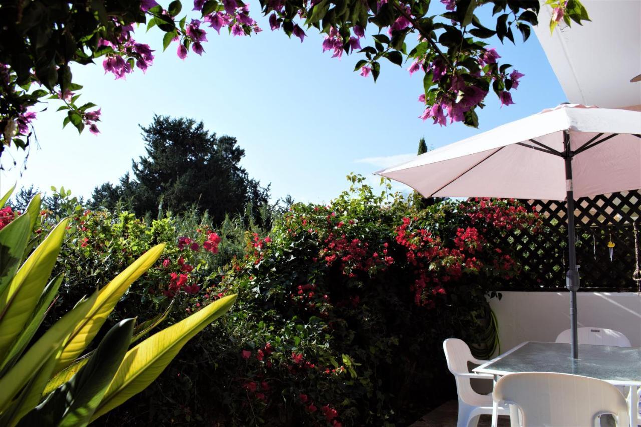Townhouse In Paradise Gardens Paphos Eksteriør bilde